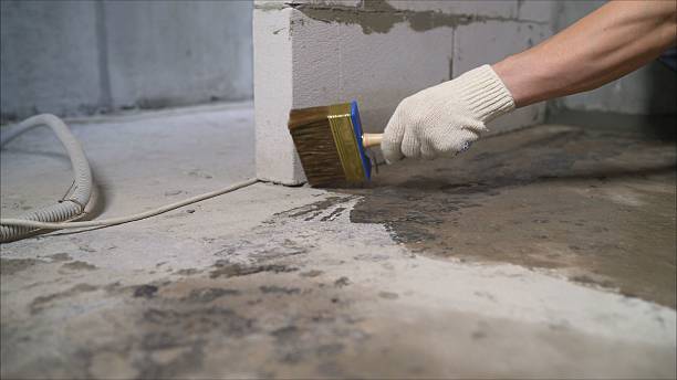 SJ Waterproofing Pros Waterproofing coverage map for Forest Junction, WI and surrounding area